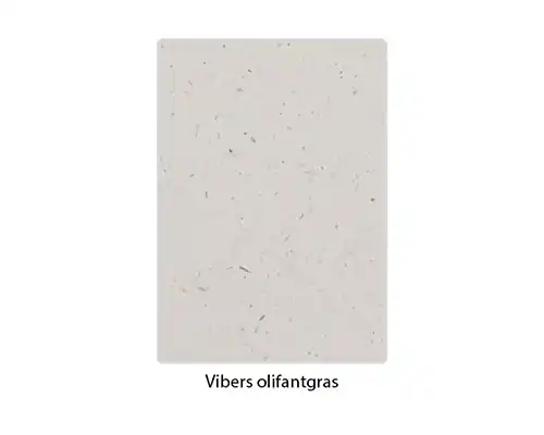 meer informatie over Vibers olifantgras